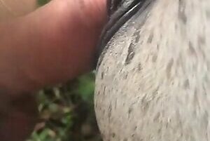 Video of gifted amateur zoo eating mare's pussy and cumming