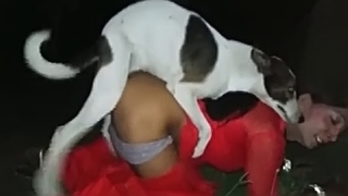 Desi Fucking Dog Fucking - I had sex in the bush at night with my dog - Zoofilia Porn